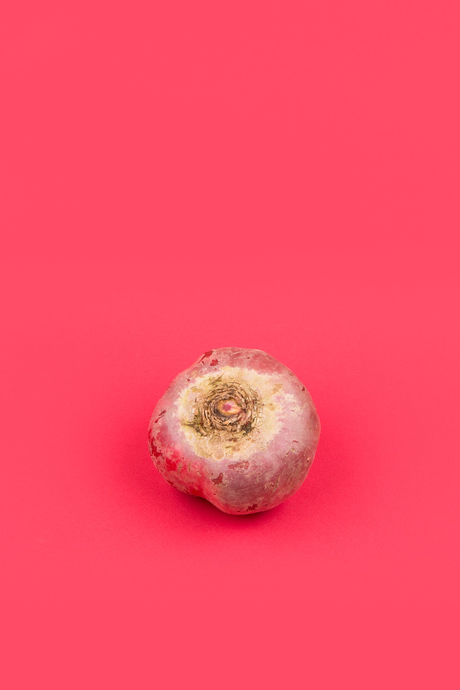 Beetroot Hummus, Pea and Kidney Bean: Three Colours to Share